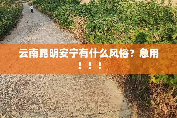 云南昆明安宁有什么风俗？急用！！！