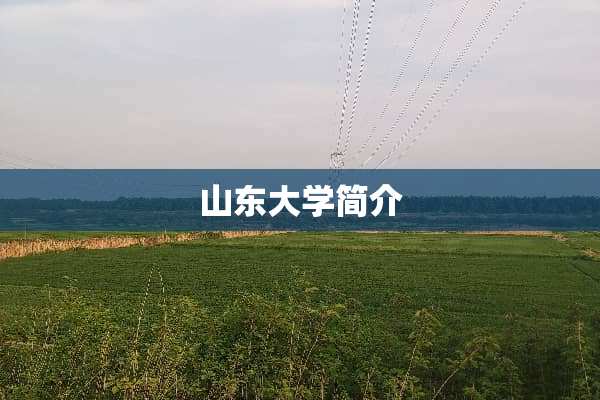 山东大学简介
