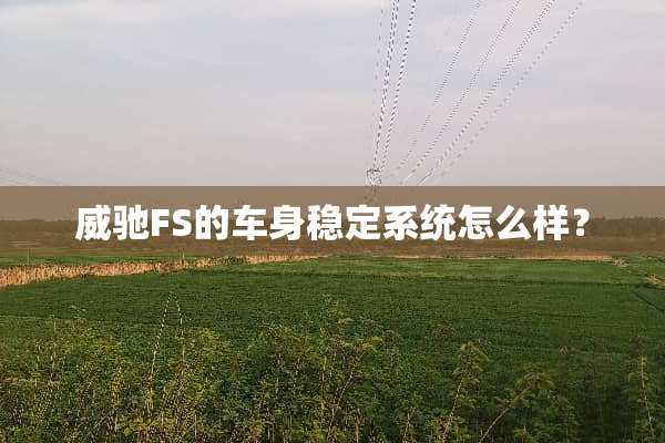 威驰FS的车身稳定系统怎么样？