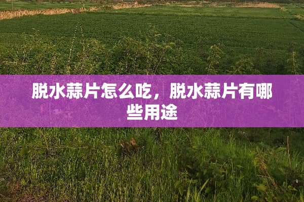 脱水蒜片怎么吃，脱水蒜片有哪些用途