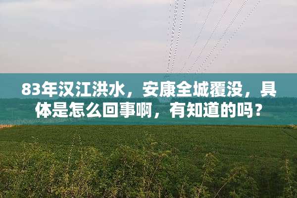 83年汉江洪水，安康全城覆没，具体是怎么回事啊，有知道的吗？