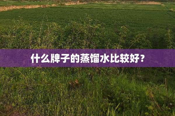 什么牌子的蒸馏水比较好？