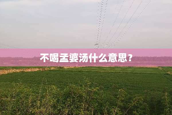不喝孟婆汤什么意思？