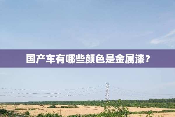 国产车有哪些颜色是金属漆？