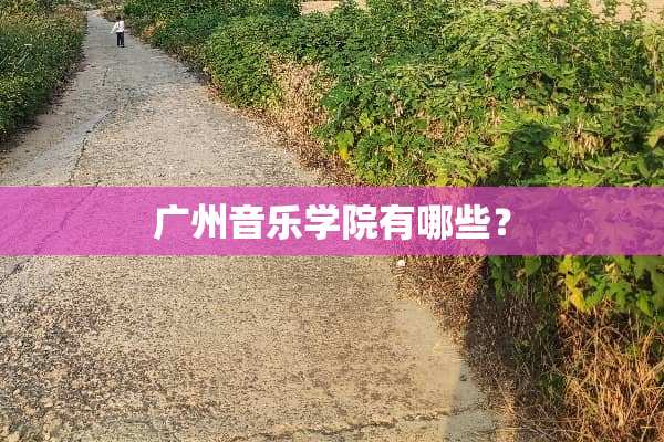 广州音乐学院有哪些？