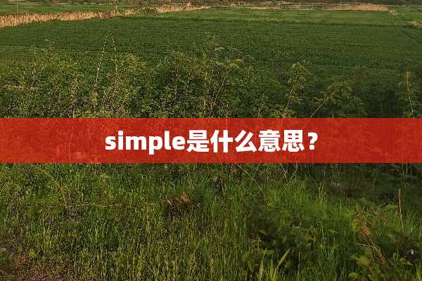 simple是什么意思？