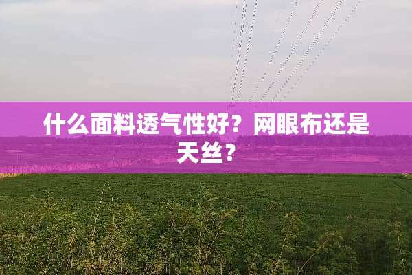 什么面料透气性好？网眼布还是天丝？