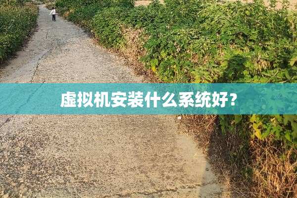 虚拟机安装什么系统好？