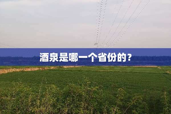 酒泉是哪一个省份的？