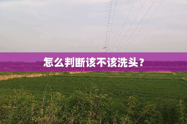 怎么判断该不该洗头？