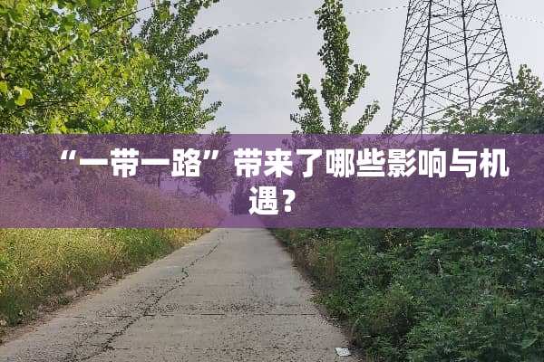 “一带一路”带来了哪些影响与机遇？