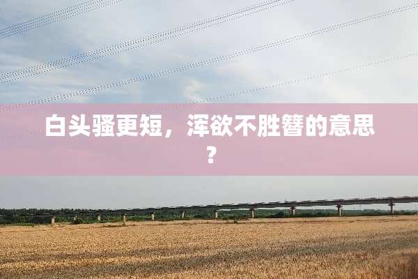 白头骚更短，浑欲不胜簪的意思？