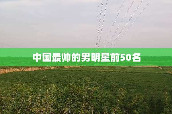 中国最帅的男明星前50名