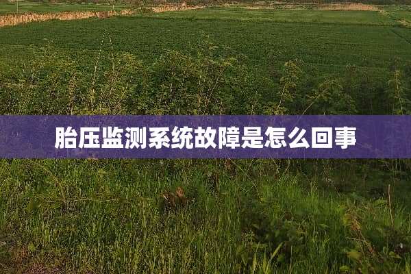 胎压监测系统故障是怎么回事