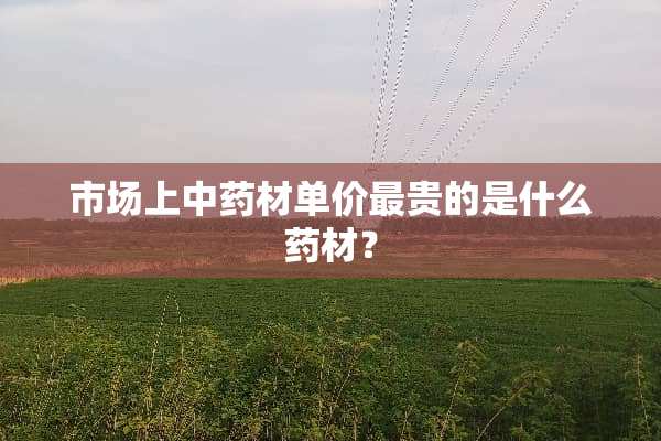 市场上中药材单价最贵的是什么药材？