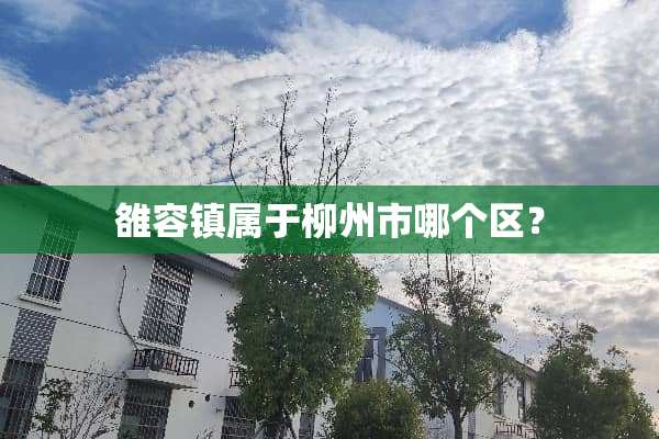 雒容镇属于柳州市哪个区？