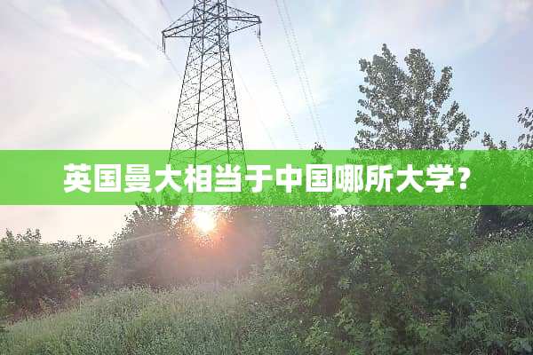 英国曼大相当于中国哪所大学？