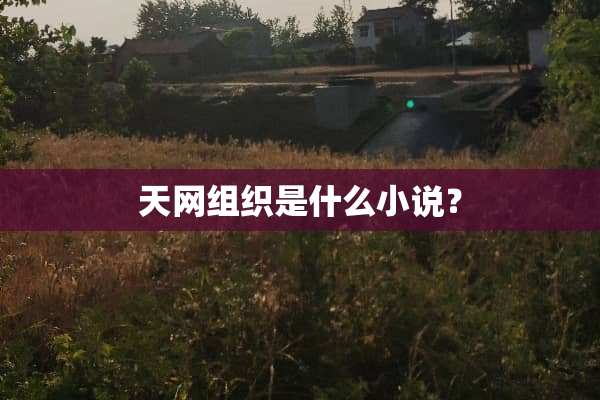 天网组织是什么小说？