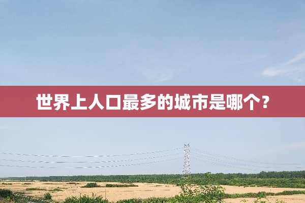 世界上人口最多的城市是哪个？
