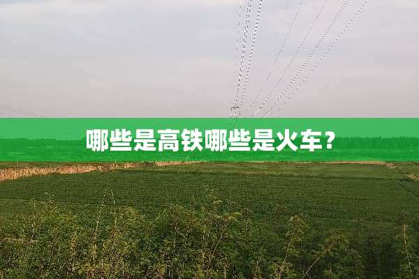 哪些是高铁哪些是火车？