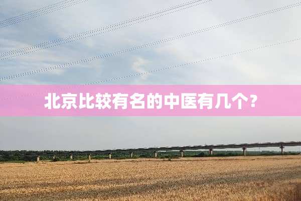 北京比较有名的中医有几个？