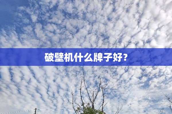 破壁机什么牌子好？