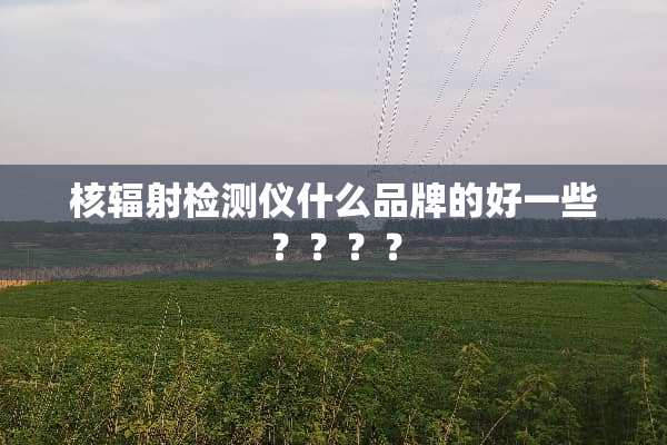 核辐射检测仪什么品牌的好一些？？？？