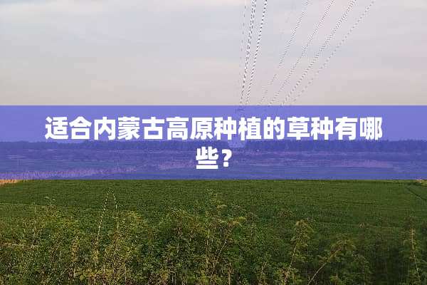 适合内蒙古高原种植的草种有哪些？