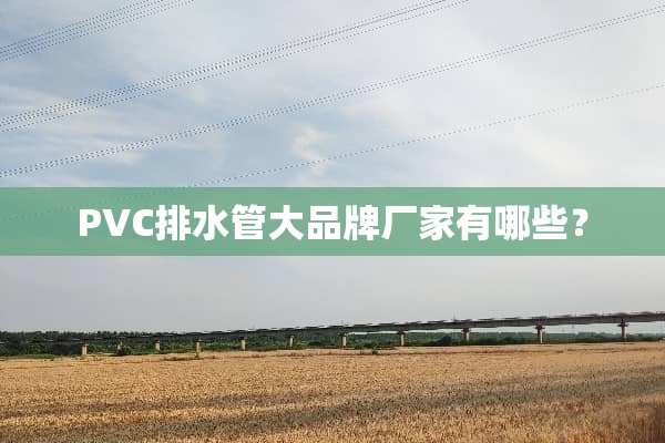 PVC排水管大品牌厂家有哪些？