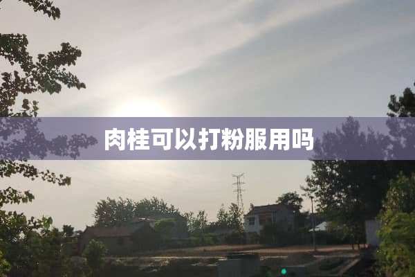 肉桂可以打粉服用吗
