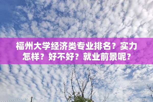 福州大学经济类专业排名？实力怎样？好不好？就业前景呢？