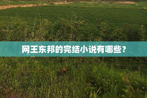 网王东邦的完结小说有哪些？