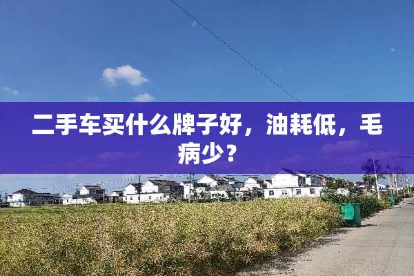 二手车买什么牌子好，油耗低，毛病少？