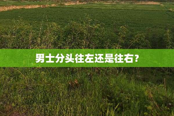 男士分头往左还是往右？