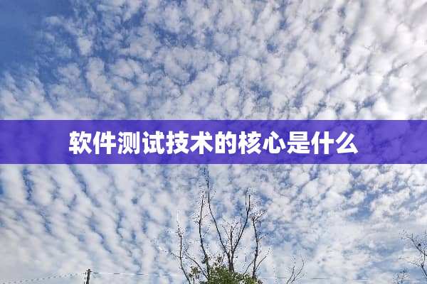 软件测试技术的核心是什么