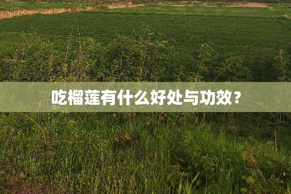 吃榴莲有什么好处与功效？
