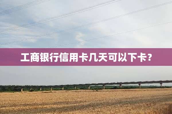 工商银行***几天可以下卡？