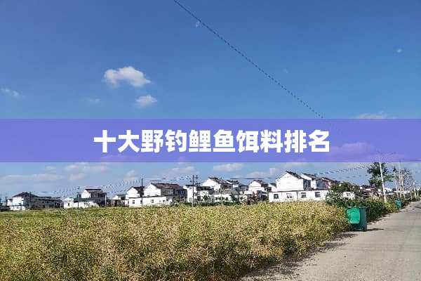 十大野钓鲤鱼饵料排名