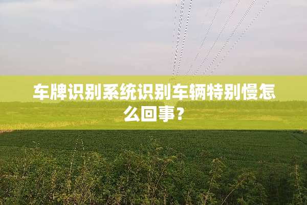 车牌识别系统识别车辆特别慢怎么回事？