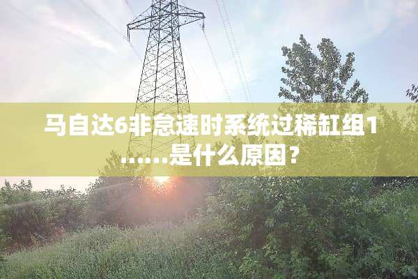 ***6非怠速时系统过稀缸组1……是什么原因？