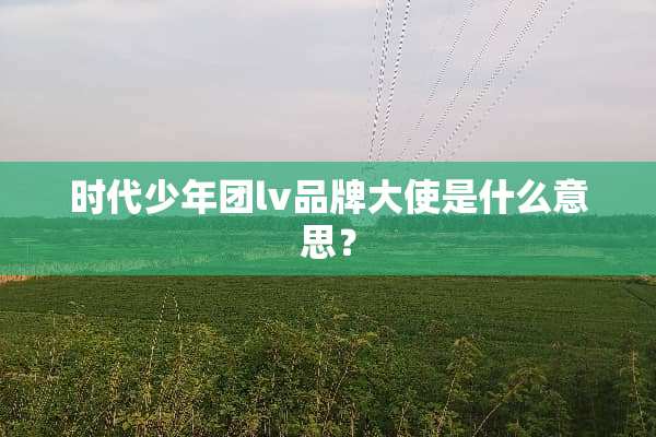 时代少年团lv品牌大使是什么意思？