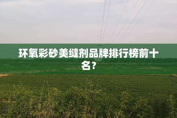 环氧彩砂美缝剂品牌排行榜前十名？