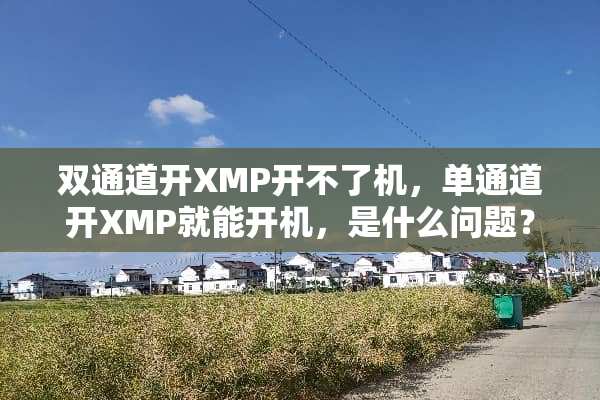 双通道开XMP开不了机，单通道开XMP就能开机，是什么问题？