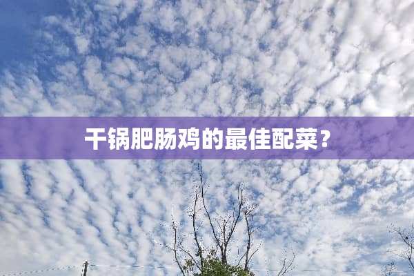 干锅肥肠鸡的最佳配菜？