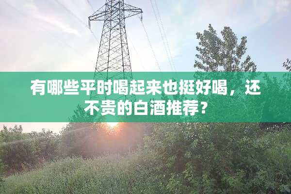 有哪些平时喝起来也挺好喝，还不贵的白酒推荐？