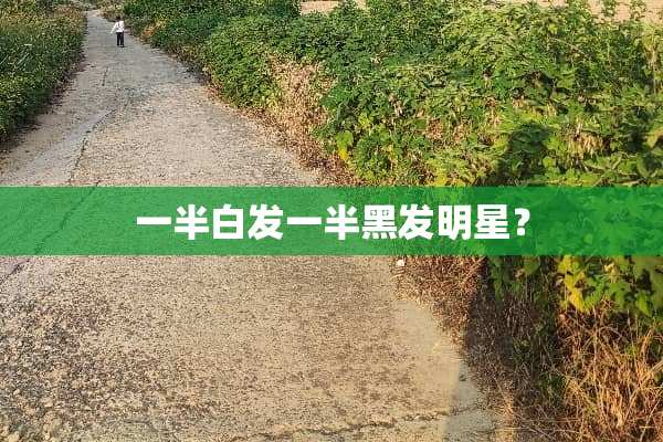 一半白发一半黑发明星？