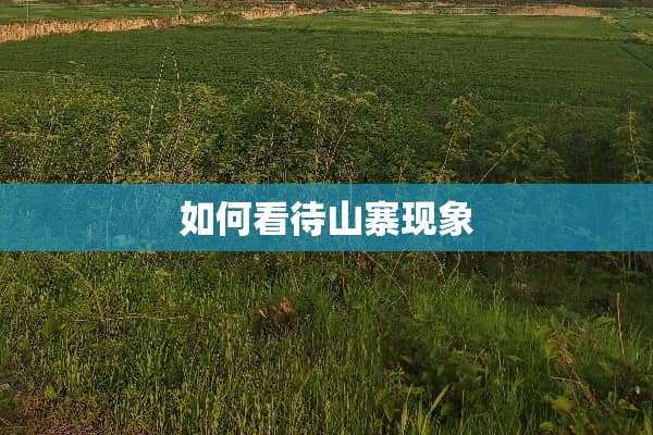 如何看待山寨现象