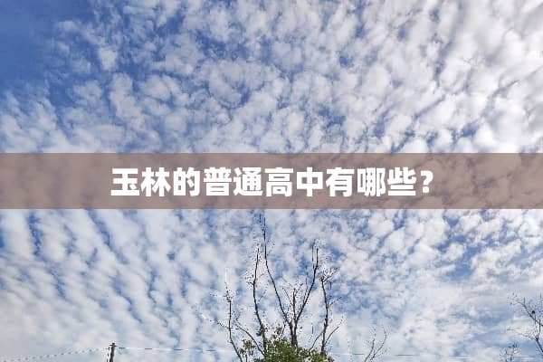 玉林的普通高中有哪些？