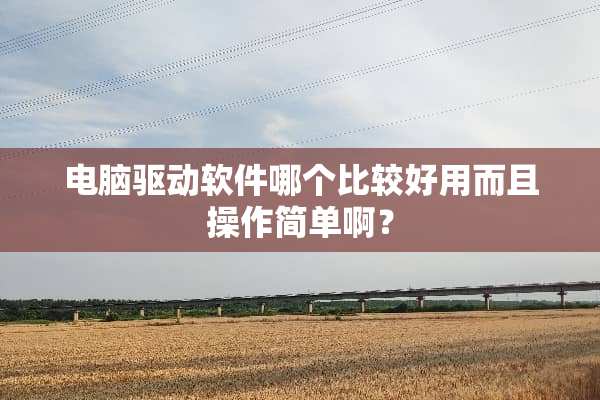 电脑驱动软件哪个比较好用而且操作简单啊？