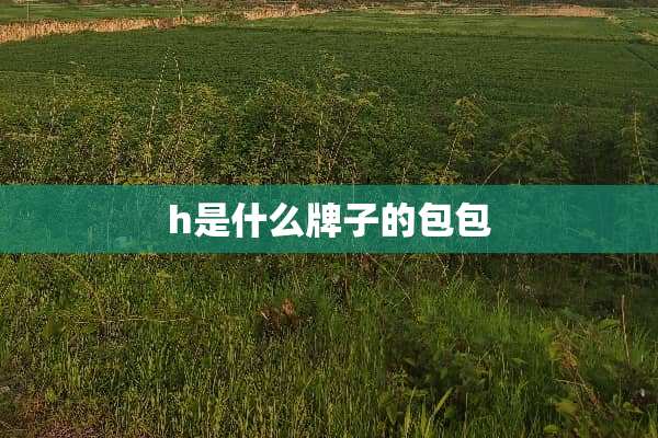 h是什么牌子的包包